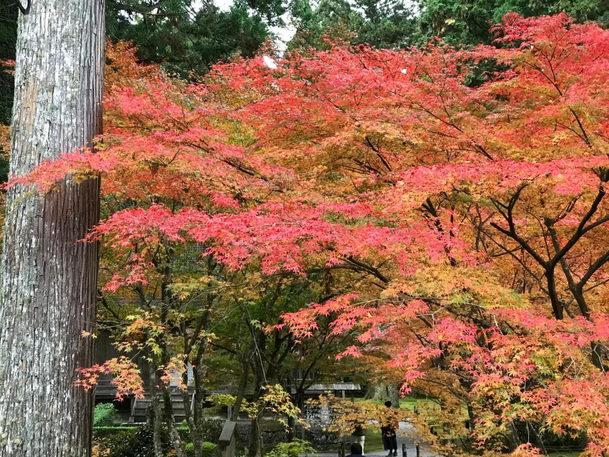 Ohara Sensui Surrounded By Beautiful Nature Hébergement de vacances