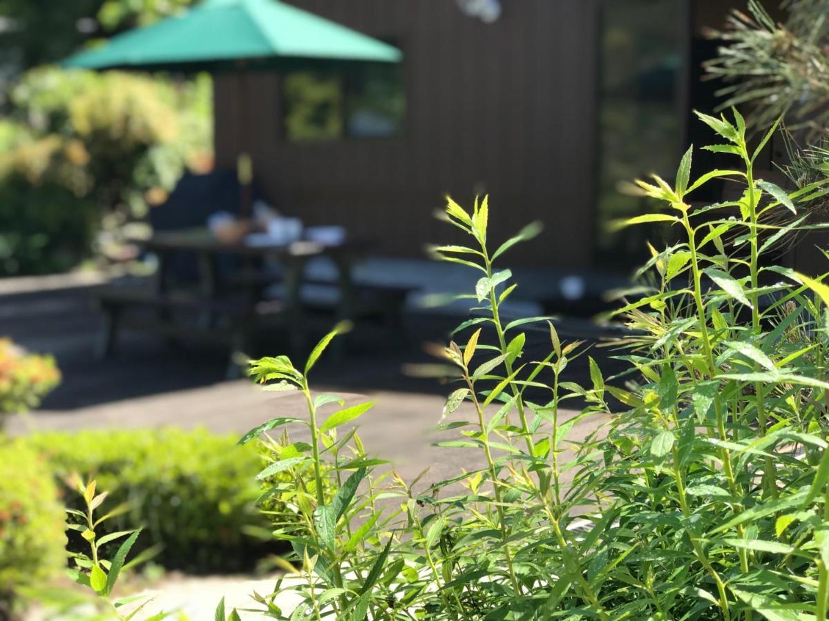 Ohara Sensui Surrounded By Beautiful Nature Hébergement de vacances